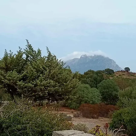 Sognando Tavolara * Porto San Paolo (Sardinia)