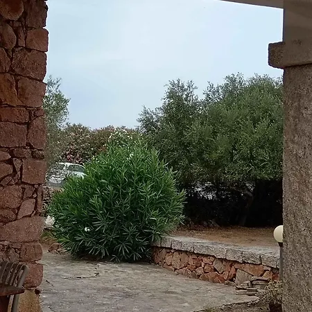 Sognando Tavolara Διαμέρισμα *