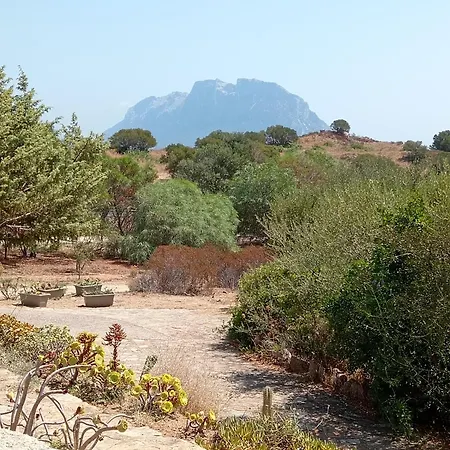 Apartman Sognando Tavolara Porto San Paolo