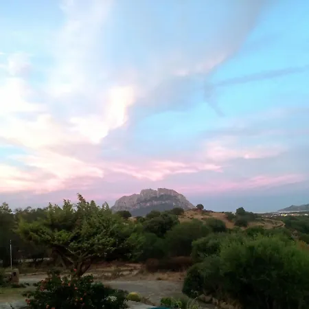 Διαμέρισμα Sognando Tavolara