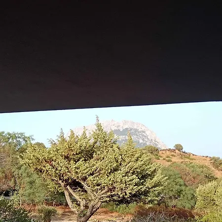 Sognando Tavolara Porto San Paolo (Sardinia)